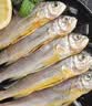 鲜到鲜得 冷冻海捕小黄鱼450g 黄花鱼 深海鱼 生鲜鱼类 烧烤食材 中秋海鲜 实拍图