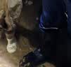 舜选防水鞋套雨鞋套防滑耐磨加厚便携雨靴重复使用男女 户外骑行下雨涉水SXT-Y01 XXL码46-47 实拍图