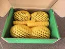 佳沛（zespri）新西兰阳光金果4粒装单果约103-114g 猕猴桃新鲜水果源头直发 实拍图