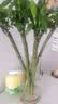 九千谷花瓶醒花桶耐摔插花家用鲜花花店插花容器两用款20cm*40cm1548 实拍图