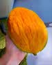 京鲜生 四川凯特芒果 8斤300g+ 新鲜青皮芒果 源头直发 实拍图