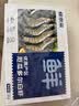 鲜京采 厄瓜多尔白虾 净重3斤/盒 特大号20-30规格   30-45只/盒 实拍图