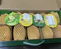 佳沛（zespri）新西兰阳光金奇异果10粒巨大果单果146-175g 猕猴桃水果礼盒 实拍图