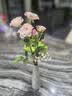 云南基地直发玫瑰鲜花全国速递配女友生日礼物家用水养插京东快递 随机双色多头泡泡10枝（35-40个花苞） 实拍图
