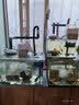 森森格池CQJ系列净水增氧过滤三合一过滤水泵 高效节能 1200G 20W  实拍图