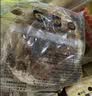 七鲜私厨 云南羊肚菌汤面1.98kg/3袋 冷鲜菌菇原汤 儿童速食早餐方便面 实拍图
