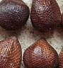 京地达印尼蛇皮果净重1.7斤单果50g+记忆果小众生鲜水果 源头直发包邮 实拍图