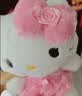 名创优品（MINISO）三丽鸥Hello Kitty凯蒂猫玫瑰之约公仔玩偶玩具抱枕生日七夕礼物 晒单实拍图