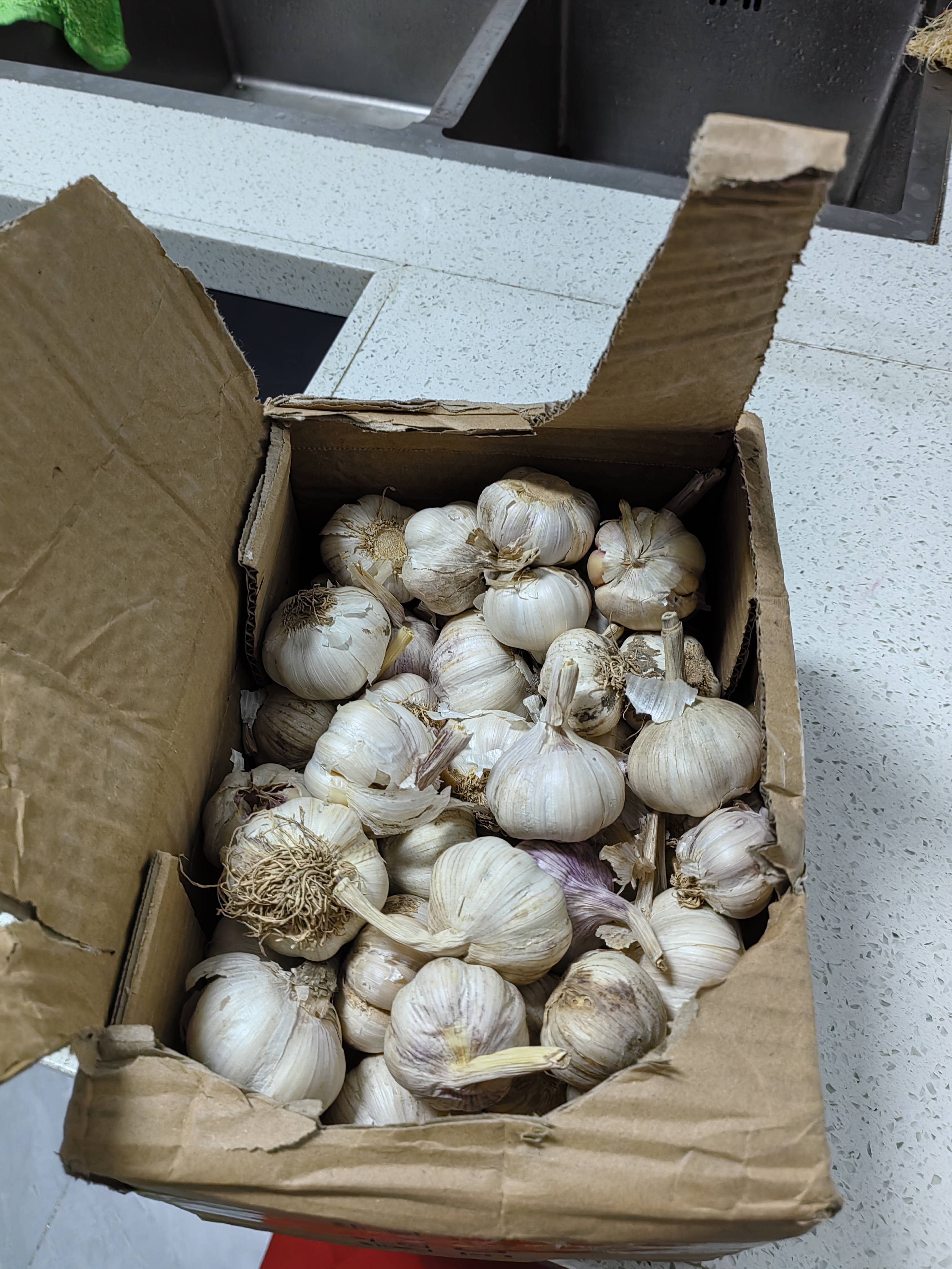 【高品质】大蒜头批发干蒜紫皮大蒜头干蒜特大新鲜大蒜批发价包邮 山东大蒜5斤 实拍图