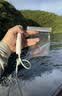 倍思 手机防水袋可触屏防水套游泳深水拍照手机袋漂流潜水套大号外卖骑手适用苹果华为荣耀小米手机 实拍图