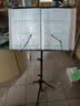 莫森（MOSEN）MS-202S谱架 专业升降琴谱架 乐器通用乐谱架谱台约133cm 经典款 实拍图