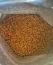 皇家猫粮 成猫猫粮 营养均衡 F32 通用粮 1-7岁 4.5KG 实拍图