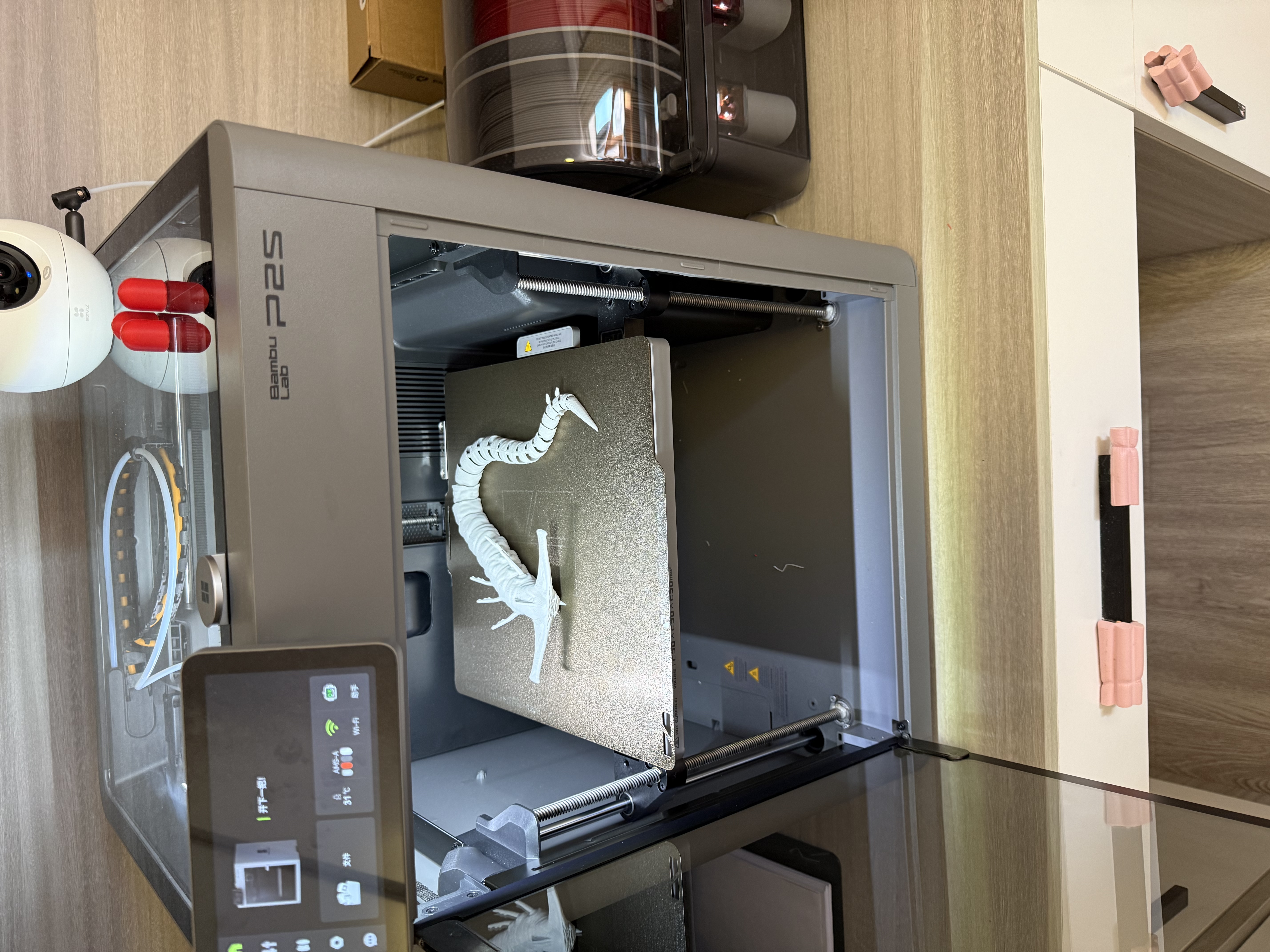 拓竹P2S 3D打印机器大尺寸儿童FDM家用桌面打印机高精度高速AI监测外吸气冷却烘干 【组合1】P2S多色套装+3卷PLA耗材+LED灯+CB遥控车 实拍图