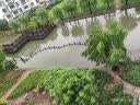 海森鱼铁棍山药蝴蝶面200gx3罐 儿童面条 宝宝蔬菜小面片 实拍图