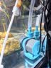 创宁水陆两用变频水泵静音过滤循环潜水泵CN9500-13W 10档流量调节 实拍图
