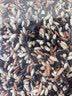 瑞利来免浸泡发芽三色糙米2斤富硒含量天然花青素全谷物主食富硒米低脂 实拍图