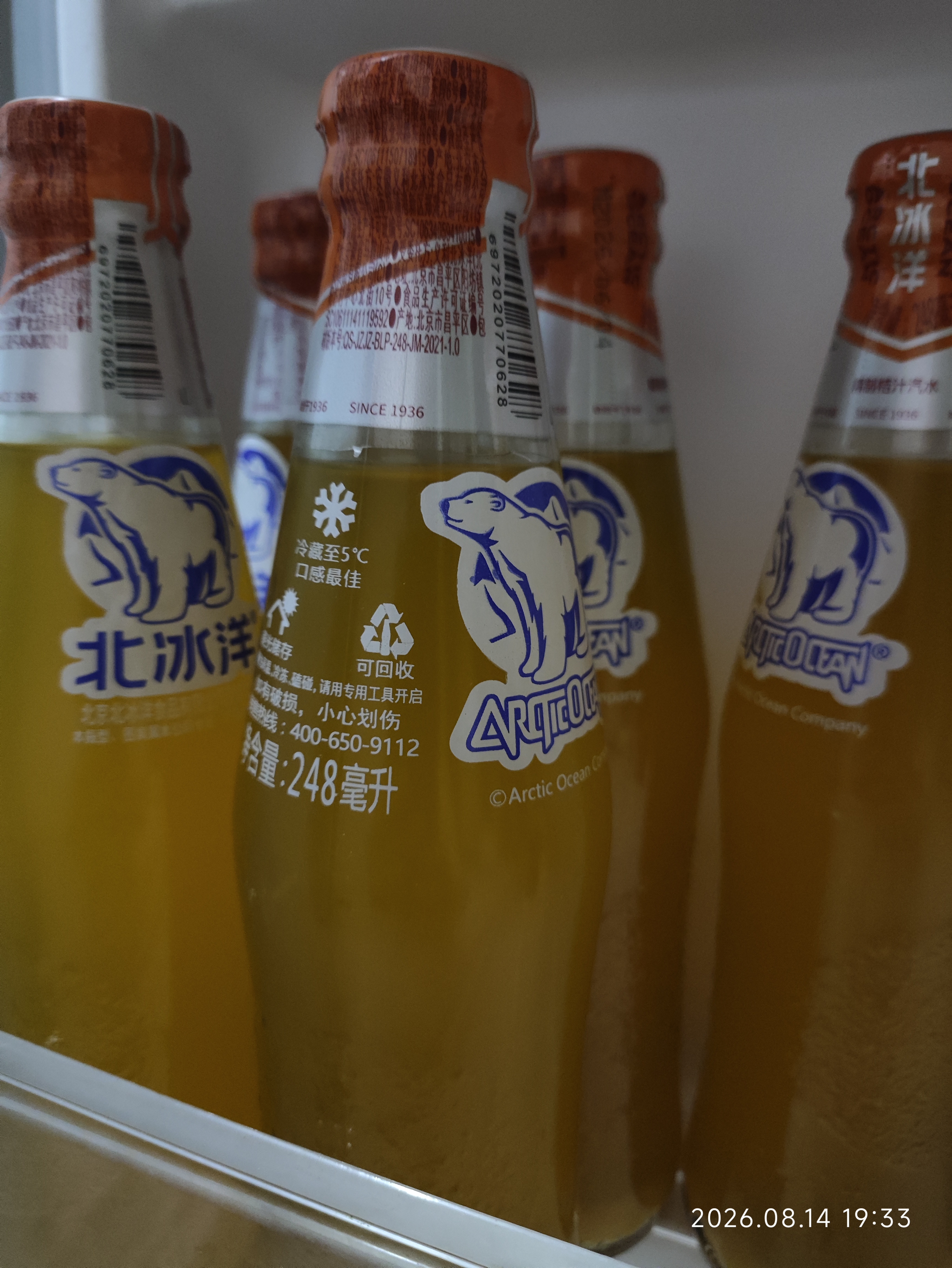 北冰洋桔汁汽水精制248ml*12瓶果汁碳酸饮料整箱网红怀旧饮料经典国货 实拍图