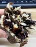 豪士巧克力蛋皮吐司早餐爆浆夹心面包可可味能量卷代餐充饥饱腹零食品 豪士巧克力蛋皮吐司 980g 实拍图