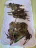 卓宸【烧烤季】冷鲜韩式烤牛肉片200g 实拍图