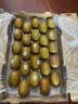 佳沛（zespri）金奇异果25粒原箱特大果134-146g猕猴桃中秋节礼品送水果礼盒 实拍图