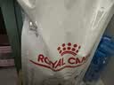 皇家（ROYAL CANIN）皮肤病处方狗粮SKS25过敏皮炎小型成犬美毛掉毛全价处方狗粮2KG 实拍图