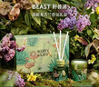 野兽派（THE BEAST）Jungle清新龙舌兰香薰蜡烛礼盒室内香薰新婚礼物生日礼物七夕礼物 实拍图