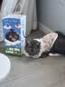 奥丁（ODIN）猫粮 1-12月龄幼猫奶糕专用 美短英短蓝猫 鱼肉味离乳期猫粮2kg 实拍图
