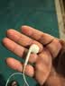 Apple/苹果 EarPods USB-C有线耳机 type-c有线耳机  iPhone 17有线耳机笔记本耳机游戏音乐 实拍图