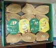 佳沛（zespri）新西兰阳光金奇异果10粒巨大果单果146-175g 猕猴桃水果礼盒 实拍图