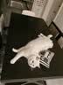 醇粹黑标猫粮全价无谷冻干猫粮纯粹成猫幼猫猫粮1.5kg 实拍图