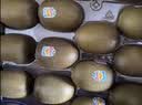 佳沛（zespri）新西兰金奇异果22粒巨大原箱146-175g猕猴桃中秋节礼品送水果礼盒 实拍图