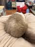 【京东快递】猫抓板猫窝一体式耐磨耐抓逗猫神器 45猫别墅【三层豪华款】 实拍图