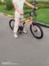 途锐达（TOPRIGHT）京东自营超轻蜂鸟儿童自行车8-12岁女孩单车宝宝骑行脚踏车20寸粉 实拍图