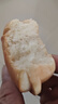 三只松鼠0蔗糖手撕面包1000g/箱 早餐小面包代餐饱腹零食酵母面包 实拍图