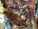 金锣酱卤猪蹄500g/袋休闲零食猪手肘子熟食下酒菜卤味方便面 实拍图