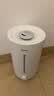 美的（Midea）【小型便携】加湿器家用卧室孕妇婴幼鼻炎静音除菌大雾量空调风扇清凉伴侣桌面生日礼物CS-3VWL 实拍图