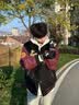 安德玛（Under Armour）手套冬季骑行保暖防风防寒摩托电动自行车触屏跑步滑雪加绒热手套 实拍图