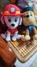 汪汪队立大功（PAW PATROL）毛绒玩具陪睡玩偶经典款毛毛中号坐姿公仔男女孩儿童生日礼物 实拍图