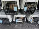 宠物航空箱猫咪空运包猫笼猫包狗狗托运便携车载猫箱子 灰色大号【48*32*30cm】 航空箱 实拍图