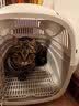 全家宠宠物航空箱天窗猫包猫咪外出便携笼子狗狗笼子托运猫箱车载太空舱 实拍图