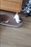 憨憨乐园 宠物猫窝狗窝S号猫咪睡袋猫房子幼犬床秋冬大型金毛泰迪四季垫 实拍图