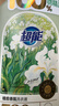 超能【肖战同款】 植愈香氛洗衣液 法国白鸢木檀香 2kg 720h持久留香 实拍图