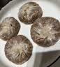 一条狗三丁芝士纸皮烧麦240g*2包 共8只 烧卖 早点速食 儿童面点 生鲜 实拍图