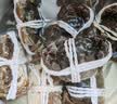 【活蟹】湖鲜阳澄 大闸蟹 去绳足重 2.8-3.1两 8只 鲜活六月黄现货超大螃蟹生鲜礼盒装 实拍图