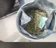 贡苑绿茶正宗龙井茶豆香250g 2026新茶明前浙江春嫩芽散装茶叶自己喝 实拍图