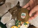 佳沛（zespri）新西兰绿奇异果优选大果12粒115-135g猕猴桃中秋节礼品送水果礼盒 实拍图