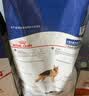 皇家狗粮 成犬狗粮 犬粮 宠物大型犬 GR26全价犬粮≥15月15KG 实拍图