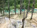 维德（WELLDAY）氧气瓶便携式供氧器孕妇老人吸氧机高原应急旅游氧气罐1400ml*4 实拍图