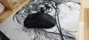 雷蛇（Razer）毒蝰V3极速版无线鼠标 电竞游戏鼠标轻量化 吃鸡/三角洲打瓦/LOL 黑色【含5号电池】 实拍图