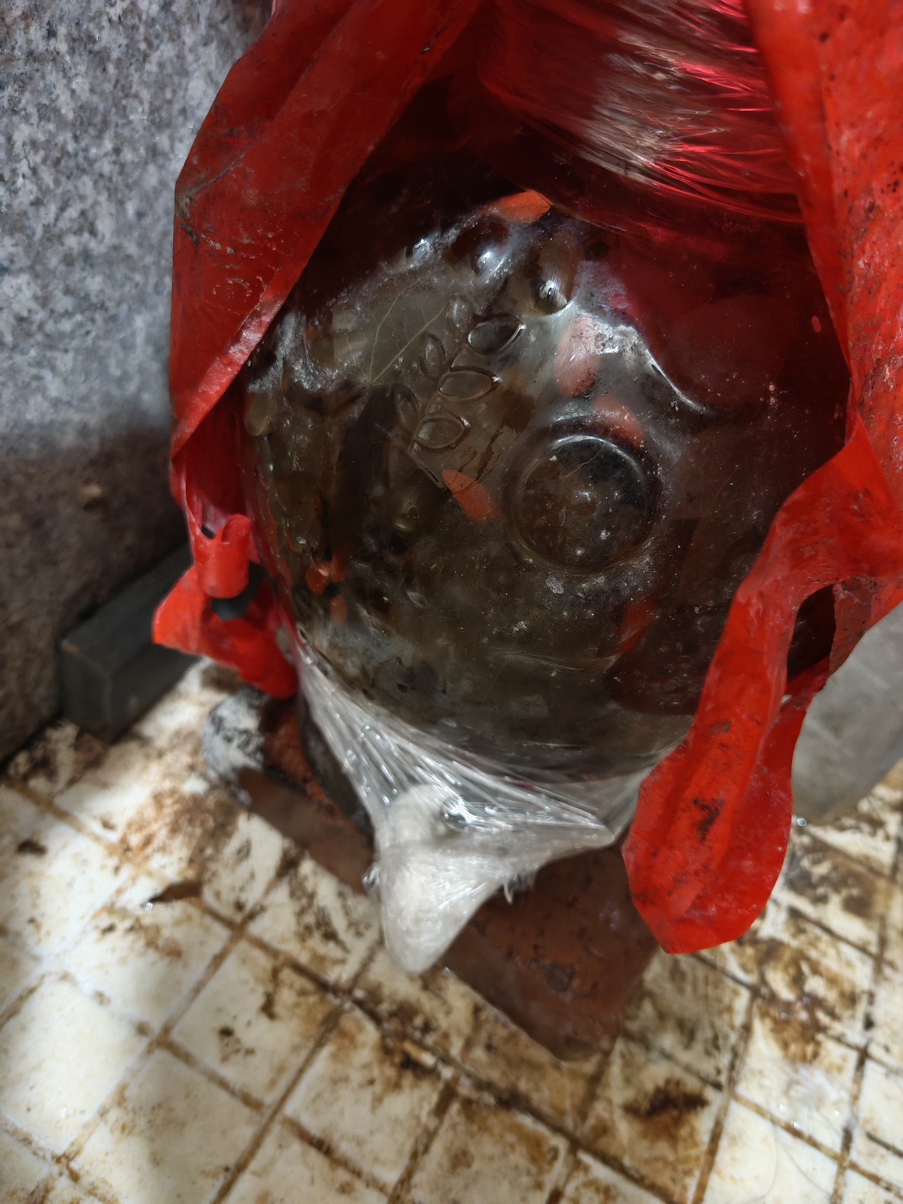 泸州老窖泸州红高粱酒 60度5L浓香型桶装散酒纯粮食白酒 泡药酒泡杨梅用酒 实拍图